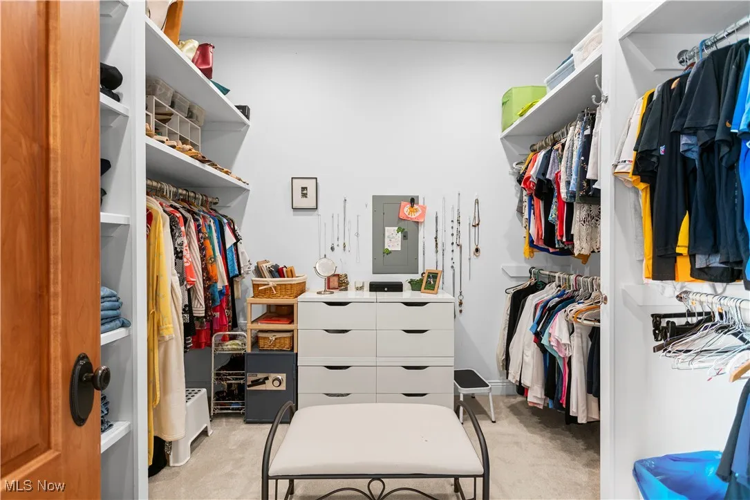 Spacious closet featuring light colored carpet