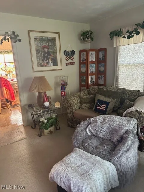 427 Butler Road, Warren, Ohio,MLS Now Listing ID