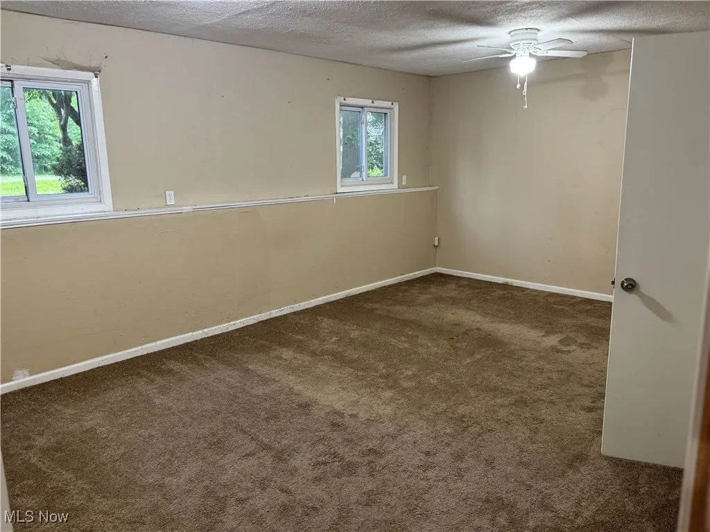 Lower Level room - possible BR