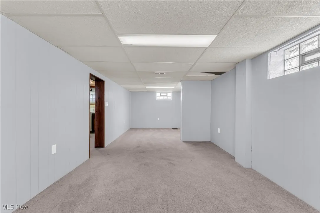 Basement featuring carpet flooring and a drop ceiling