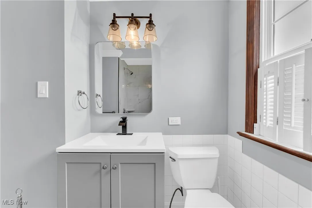 Full bathroom with toilet, vanity, and a shower
