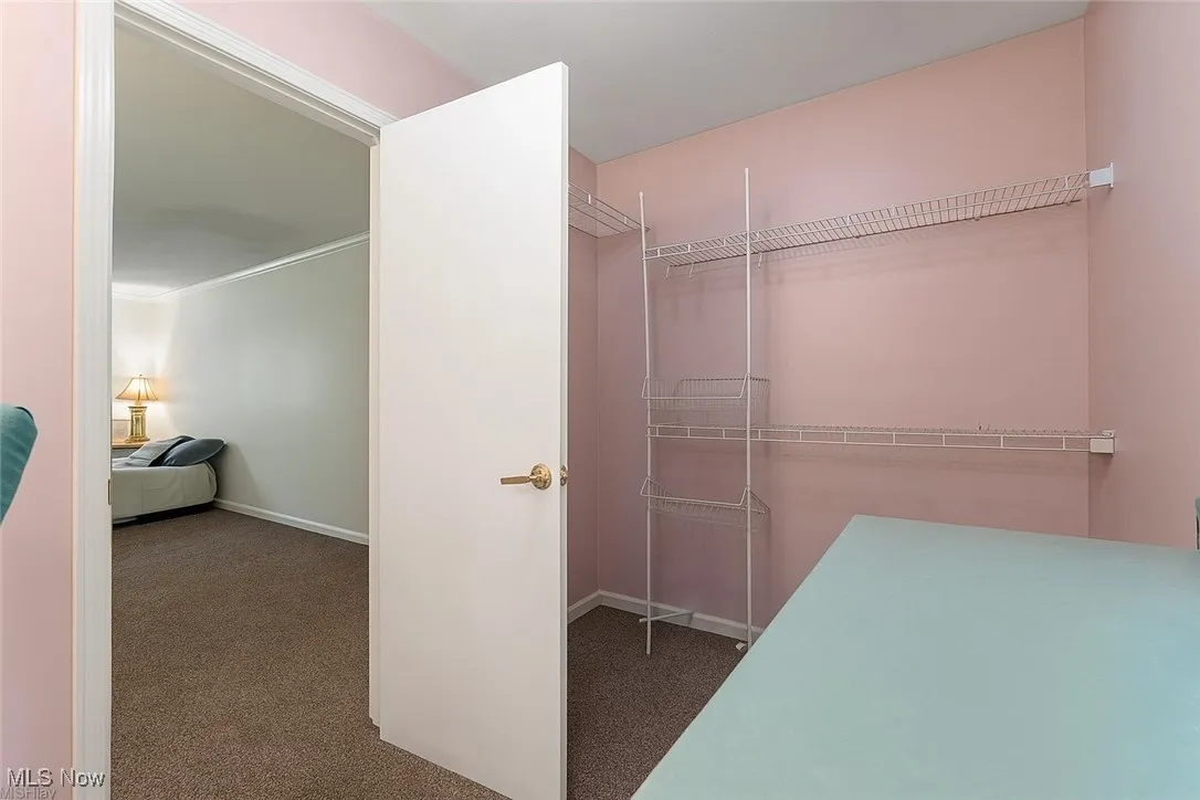 Spacious closet featuring dark colored carpet