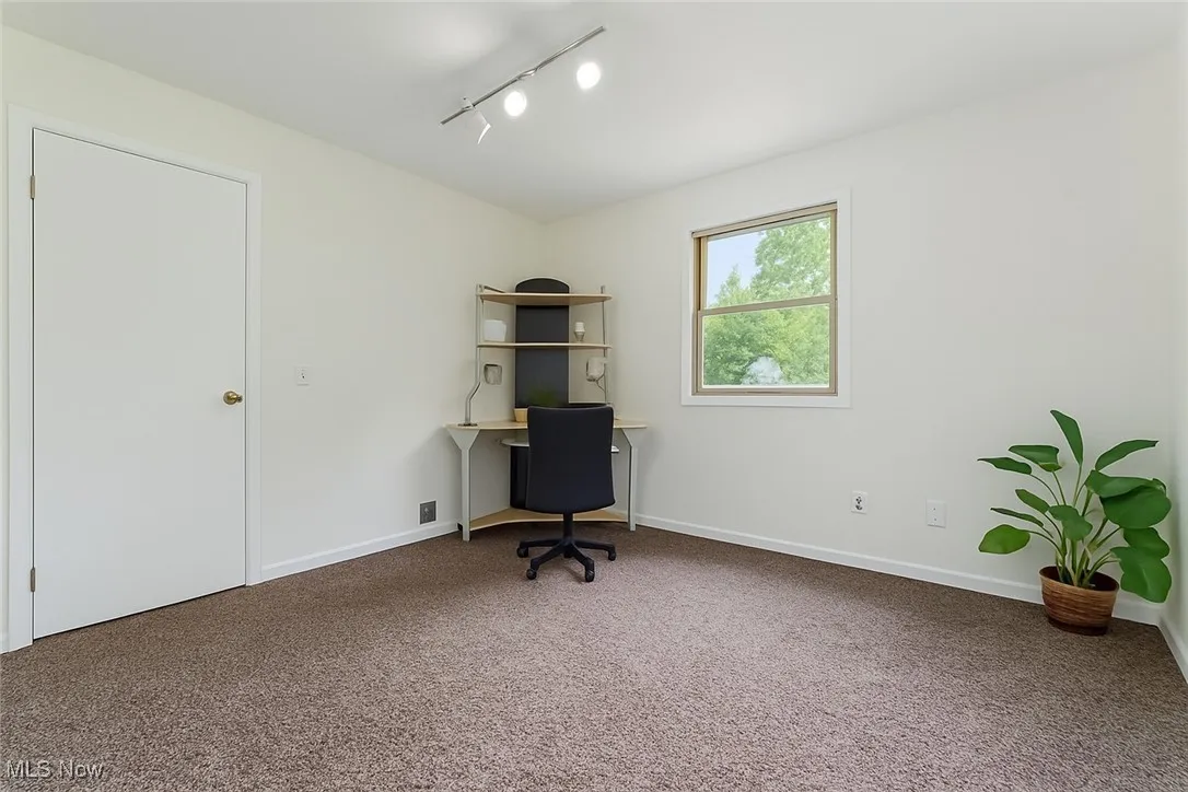 Office space with dark carpet and rail lighting