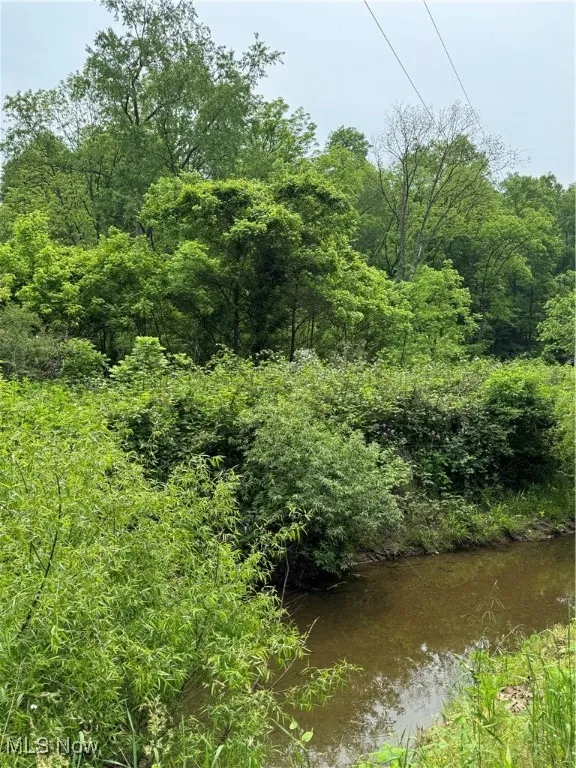 View of nature