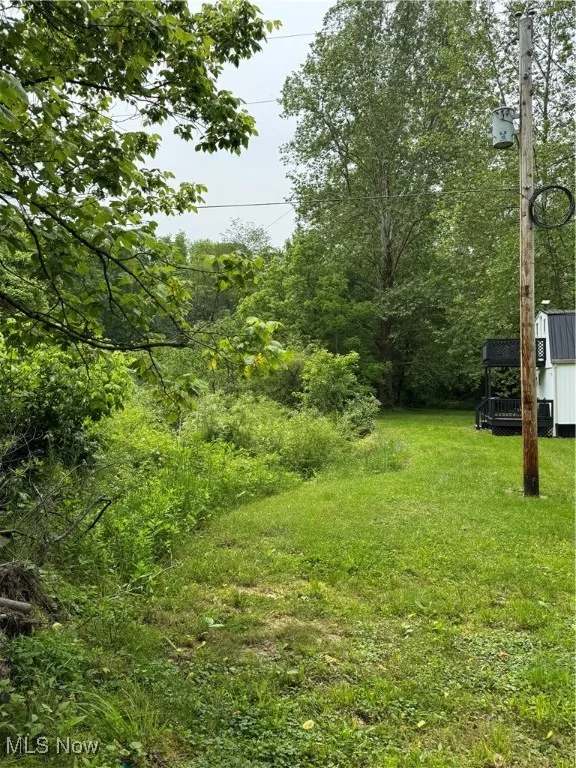View of grassy yard with an outbuilding
