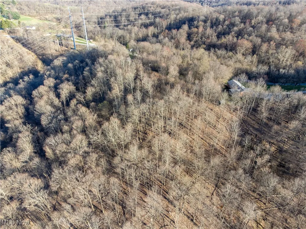 Fulton Hill Rd (CR 42), Bellaire, Ohio,MLS Now Listing ID