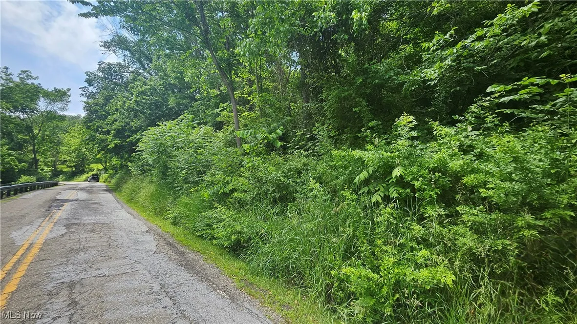 Fulton Hill Rd (CR 42), Bellaire, Ohio,MLS Now Listing ID