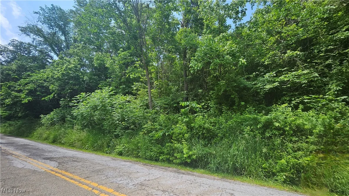Fulton Hill Rd (CR 42), Bellaire, Ohio,MLS Now Listing ID