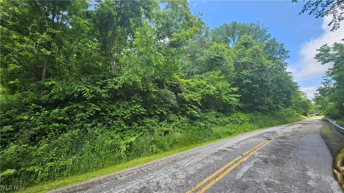 Fulton Hill Rd (CR 42), Bellaire, Ohio,MLS Now Listing ID