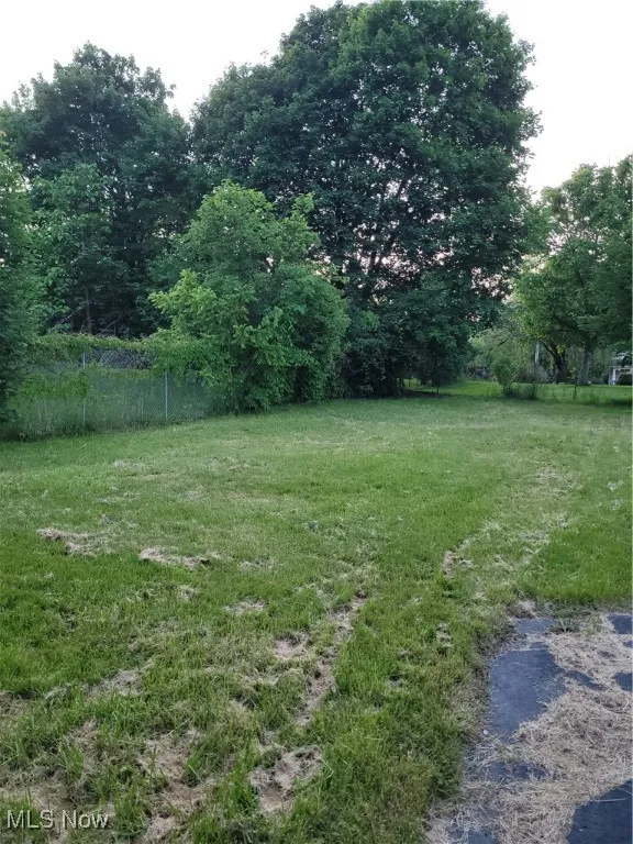 View of backyard