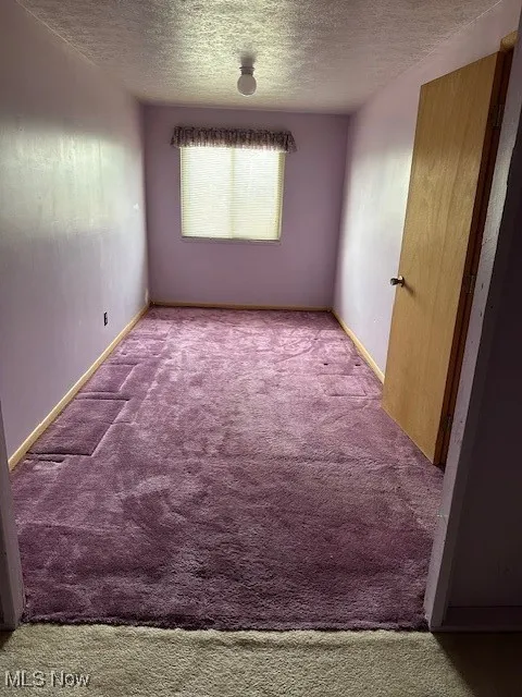 Bdr 5 Carpeted with a textured ceiling and baseboards walkin closet