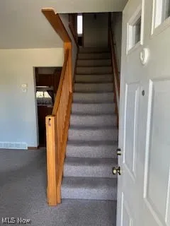 Staircase featuring carpet floors