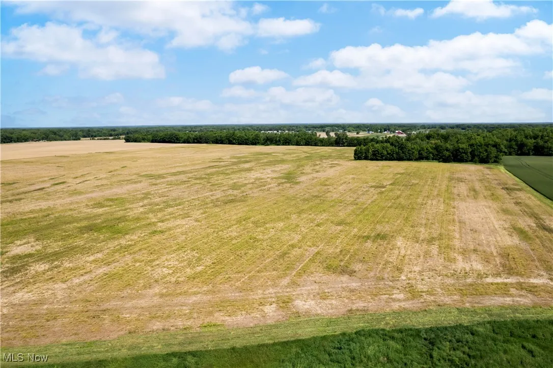 Aerial view of sparsely populated area with rows of crops