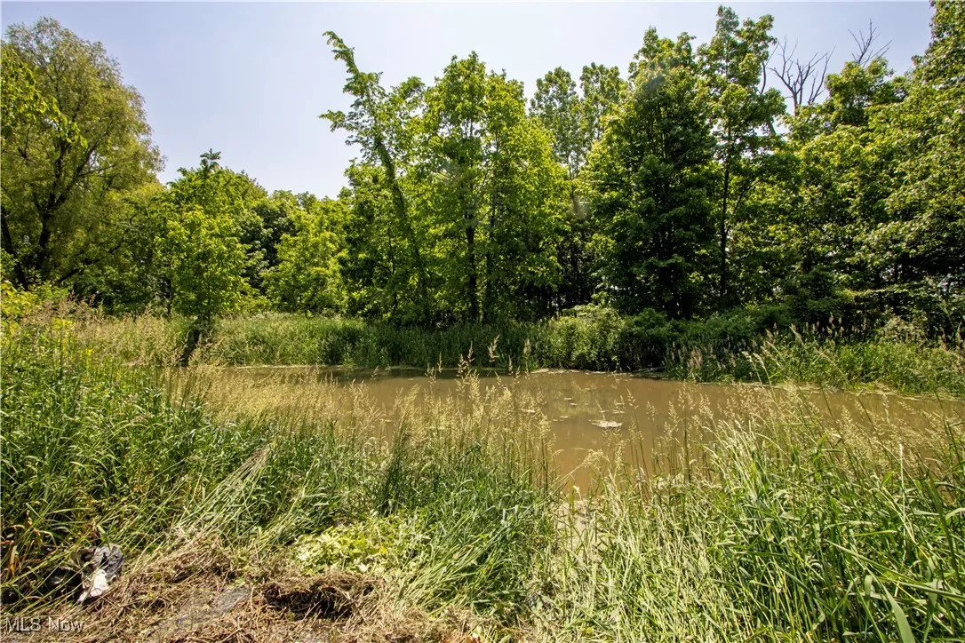 View of nature with a large body of water