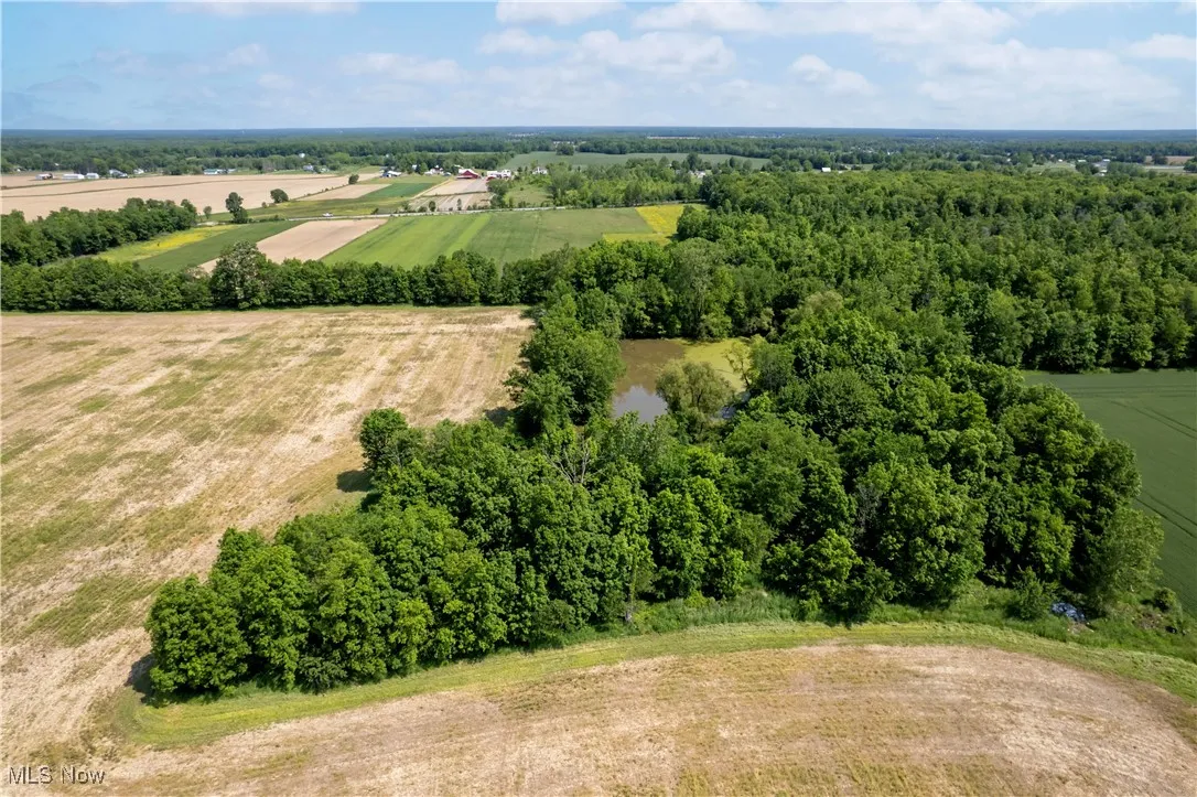 Aerial view of sparsely populated area featuring rows of crops