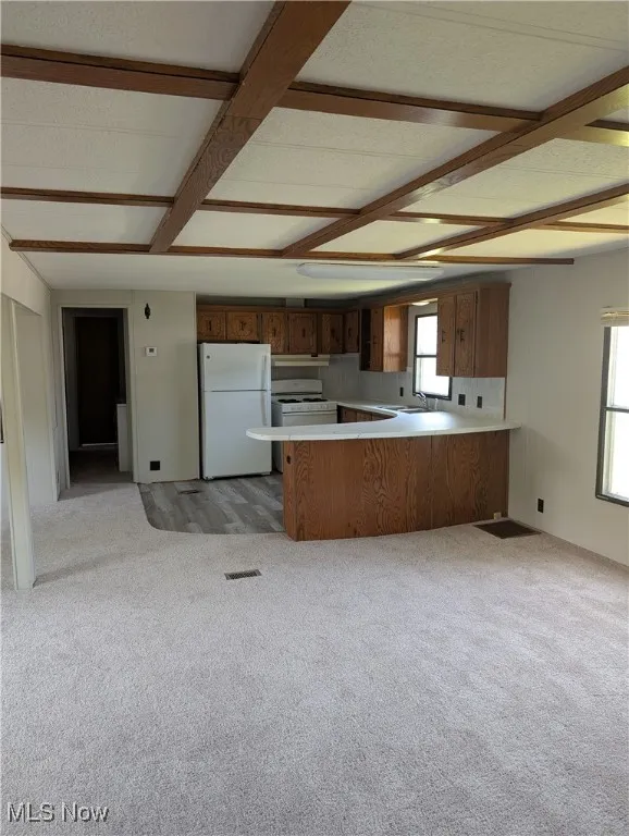 Kitchen with white appliances, a peninsula, plenty of natural light, and open floor plan