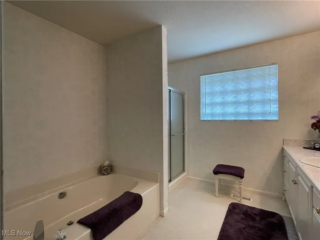 Full bath with a bath, vanity, and a large shower