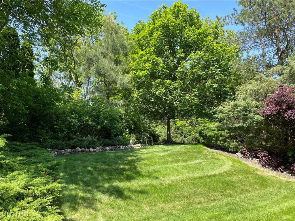 View of grassy yard backs to NO Neighbors.