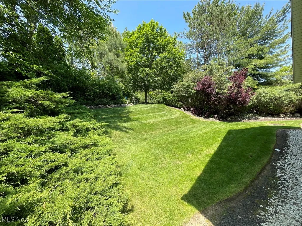 View of only a small amount of your private wooded back yard.