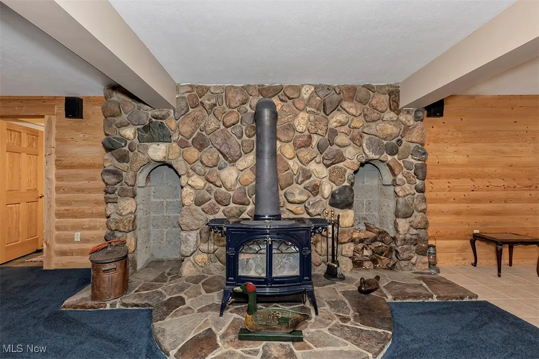 View of basement woodburner.