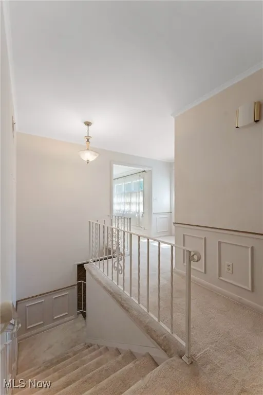 Stairs with a decorative wall, carpet flooring, crown molding, and a wainscoted wall