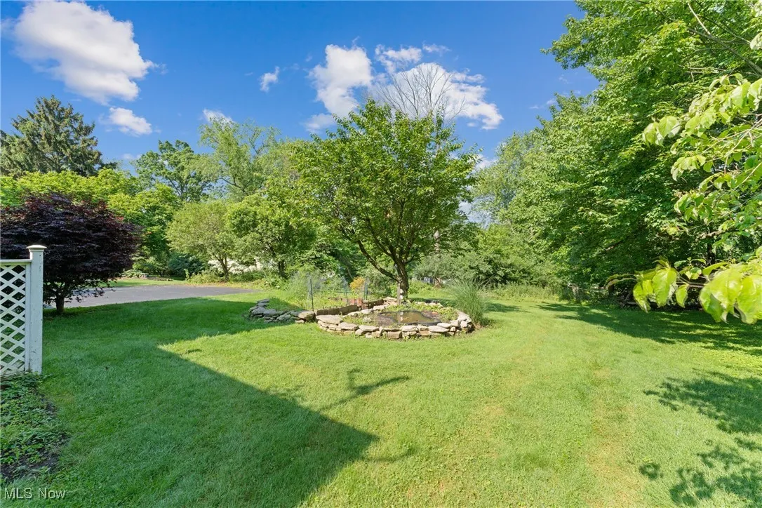 View of green lawn