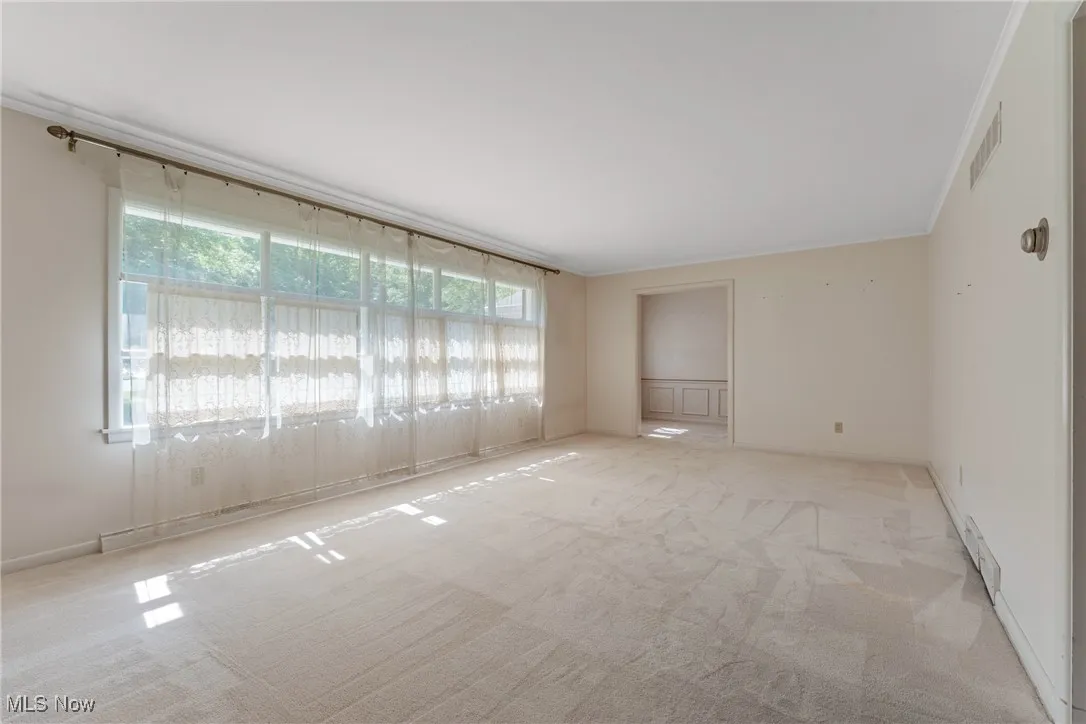 Unfurnished room with light carpet