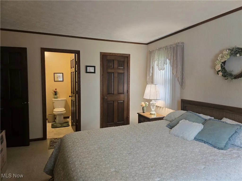 Carpeted bedroom featuring crown molding and ensuite bathroom