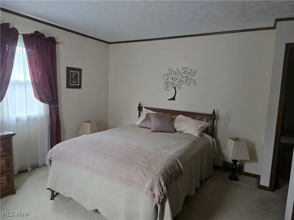 Bedroom featuring ornamental molding, multiple windows, carpet, and baseboards