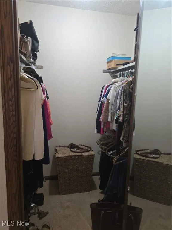 Spacious closet with carpet floors in owners suite.