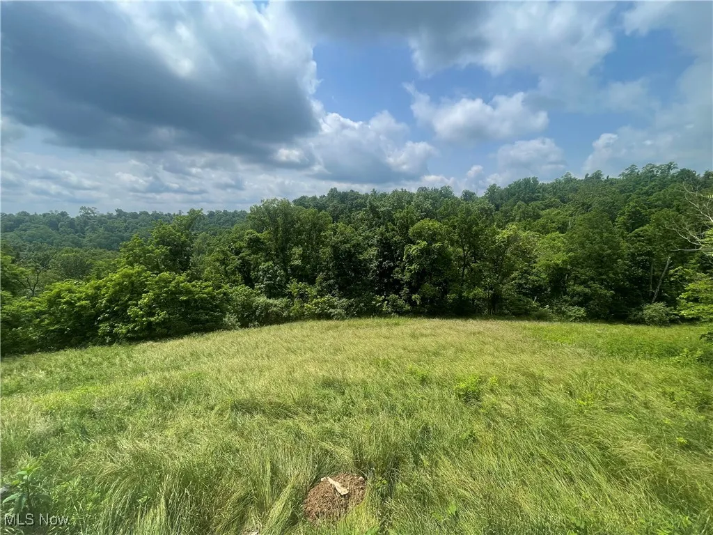 9421 Slate Creek Road, Rockport, West Virginia,MLS Now Listing ID
