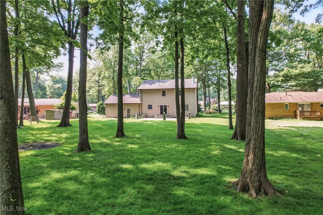 View of back yard