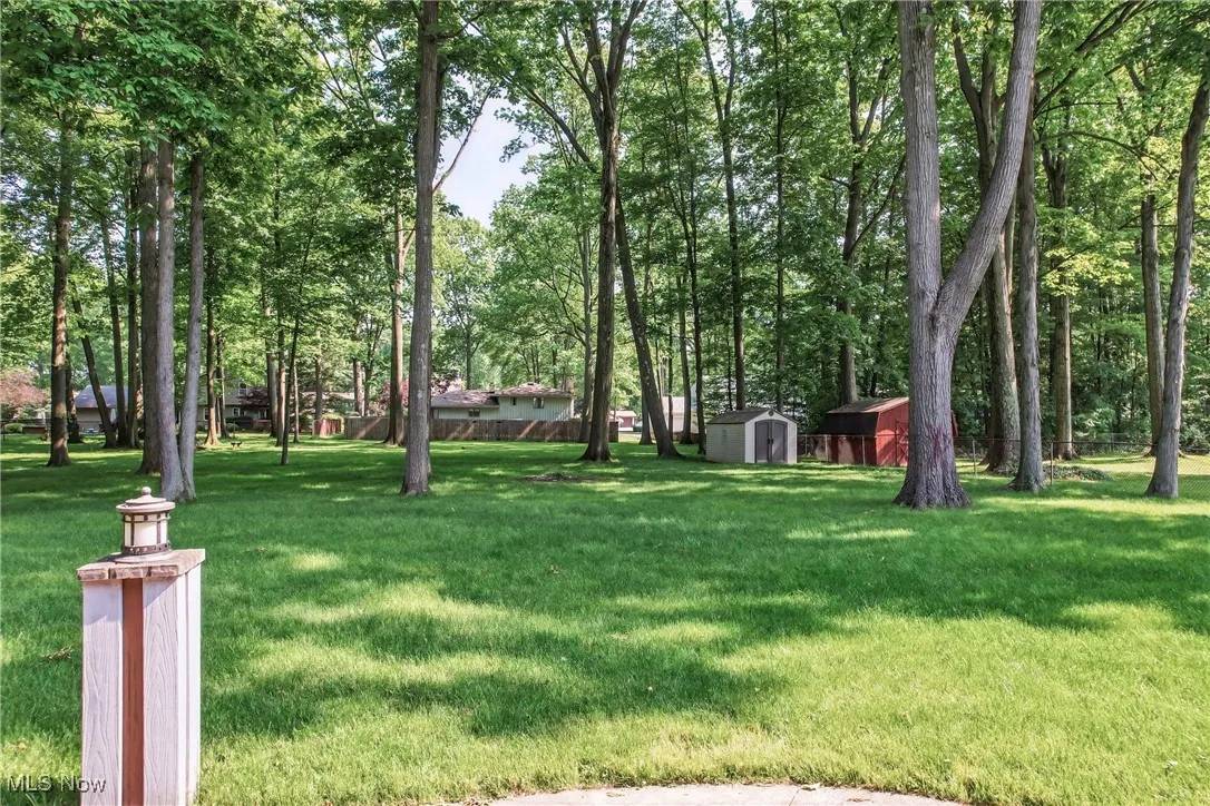 View of back yard