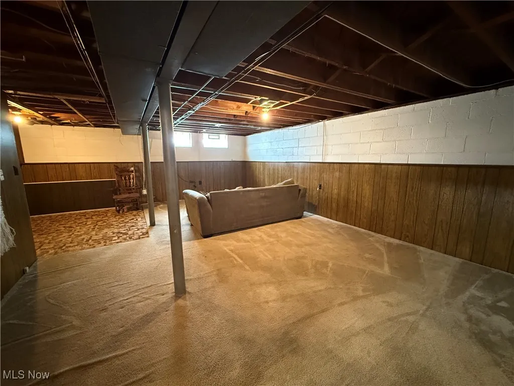 Basement featuring carpet flooring and wood walls