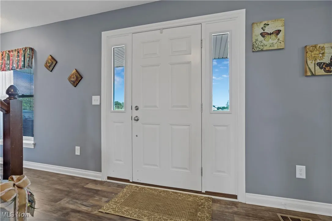 Entrance foyer featuring baseboards, dark wood finished floors, and plenty of natural light