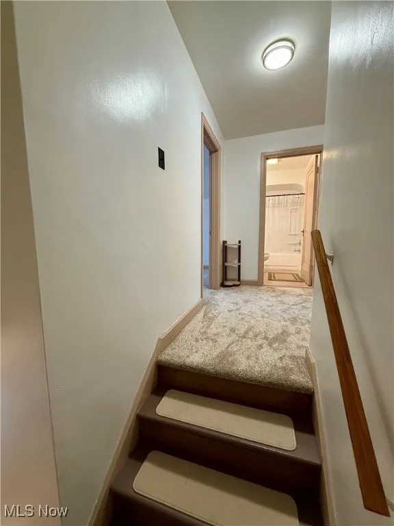 Stairway with carpet flooring