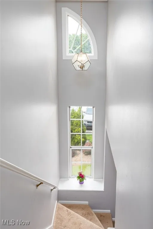 Stairs featuring carpet floors, baseboards, a towering ceiling, and healthy amount of natural light