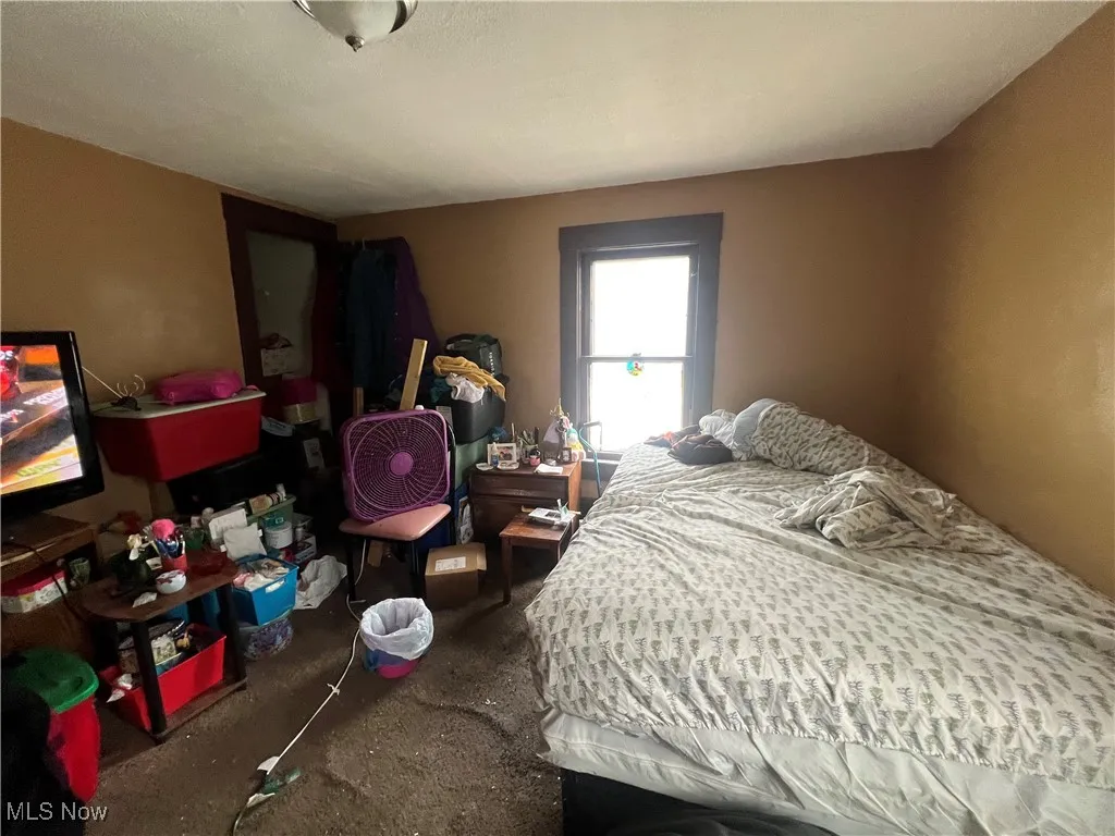 9910 Anderson Avenue, Cleveland, Ohio,MLS Now Listing ID