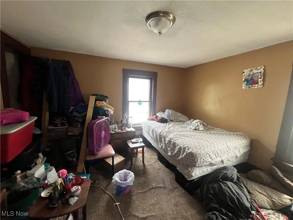 9910 Anderson Avenue, Cleveland, Ohio,MLS Now Listing ID