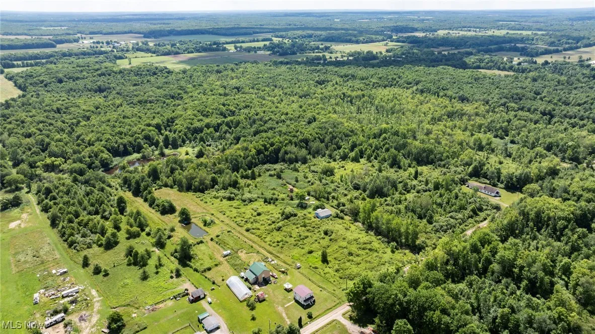 Drone / aerial view of a forest
