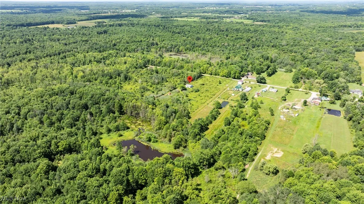 Drone / aerial view of a heavily wooded area