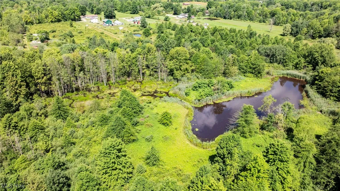 Drone / aerial view of a large body of water and a heavily wooded area