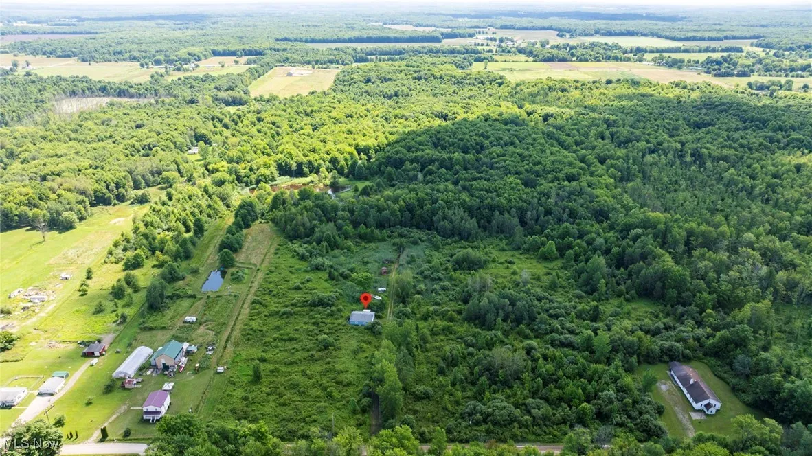 Drone / aerial view of a heavily wooded area