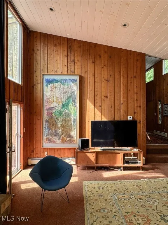 Carpeted living area featuring wooden ceiling, a baseboard radiator, and wood walls