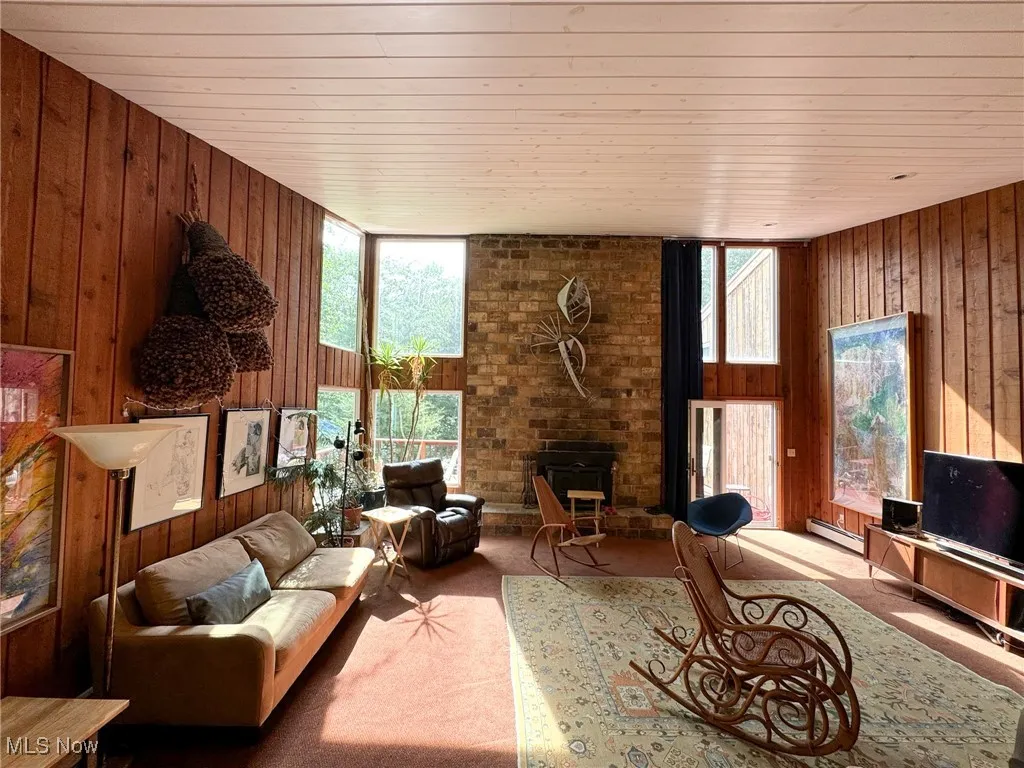 Living area with wooden walls, wood ceiling, healthy amount of natural light, carpet floors, and a baseboard radiator