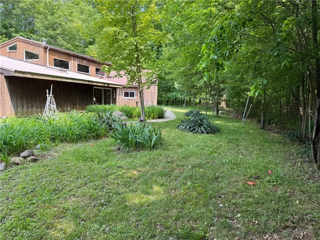 View of grassy yard