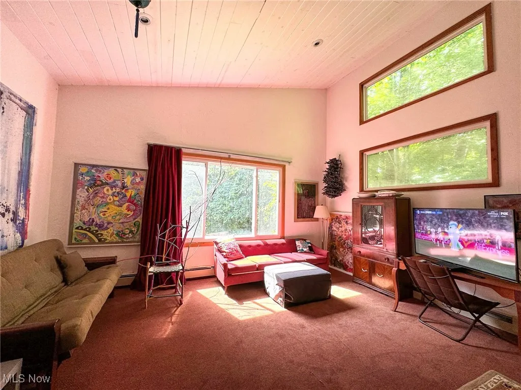 Living area with carpet floors, wooden ceiling, and a baseboard heating unit