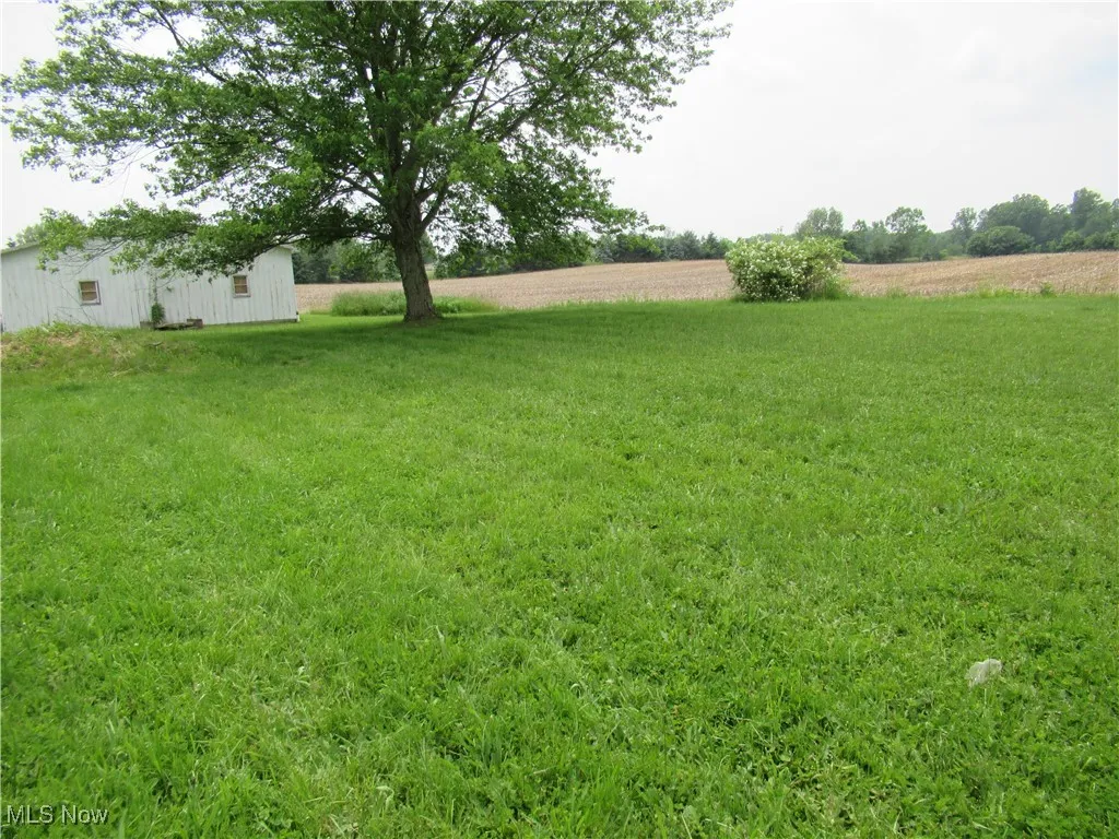 Yard area