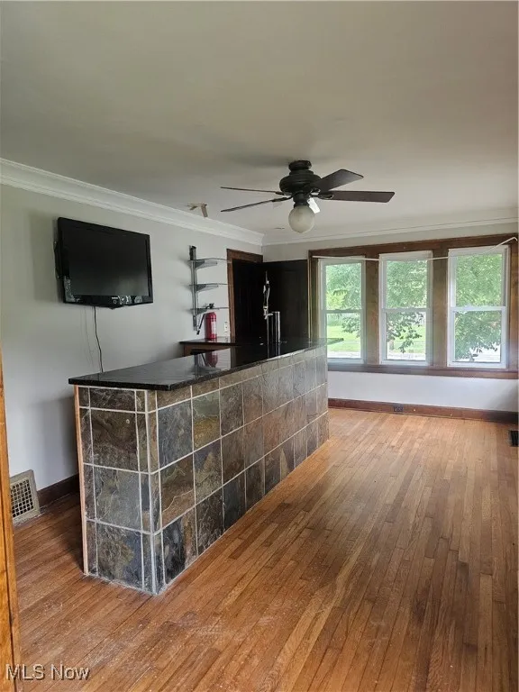 Indoor dry bar featuring wood-type flooring, crown molding, and ceiling fan