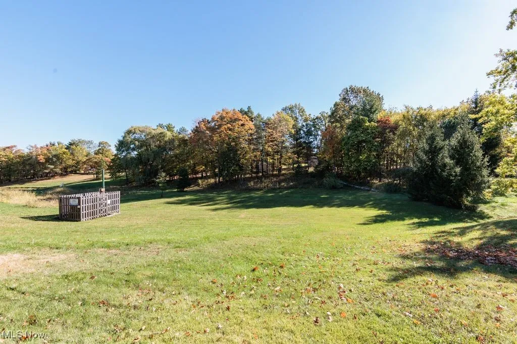 View of grassy yard